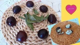 Castagne bollite: con lauro!