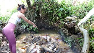 Top Unique Fishing: Use a Pump To Suck Water Out Of The Lake - Harvesting Many Big Fish