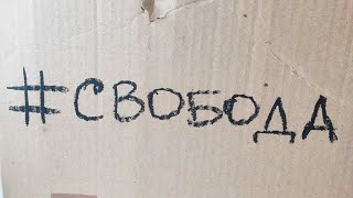 #свобода