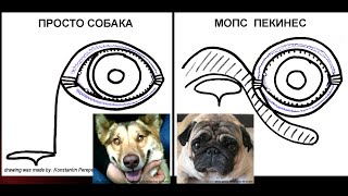 Медиальный заворот век. Все ли так просто? Medial inversion of the eyelids. Is it that simple?