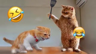 The ULTIMATE Cat and Dog Videos!😹FUNNIEST Pets😿🐶