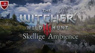 The Witcher 3: Wild Hunt OST- Skellige Ambience