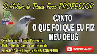 O Que Foi Que Eu Fiz Meu Deus -- #trincaferro PROFESSOR