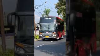 Bus Juragan 99 Trans Malang Pagi Hari Di Terminal Arjosari