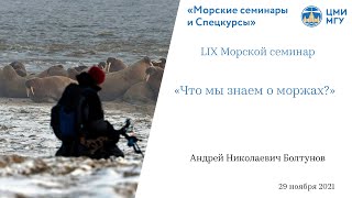 LIX Морской семинар — «Что мы знаем о моржах?»