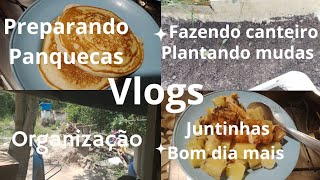 vlogs plantando mudas / organização / fazendo panquecas 😃