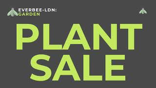 PLANT SALE - SAVE THE DATE | EVERBEE - Ldn: GARDEN