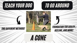 Teach Your Dog to Go Around a Cone | Dog Training Tutorial for Agility, Obedience Foundations