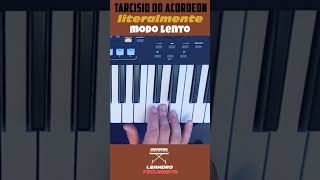 Tarcisio do Acordeon (Literalmente eu Vou Pirar) Como tocar no Teclado Vidio Aula🎹