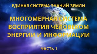 Многомерная система восприятия человеком энергии и информации.