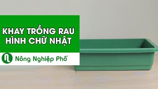 KHAY (CHẬU) TRỒNG RAU HÌNH CHỮ NHẬT 65X42X16(cm) | nongnghieppho.vn