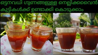 നെല്ലിക്ക വൈൻ കെട്ടുന്ന വിധം||gooseberry wine recipe||