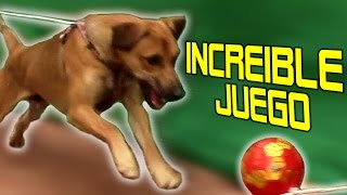 Increíble Juego para Mascotas | Te Digo Cómo