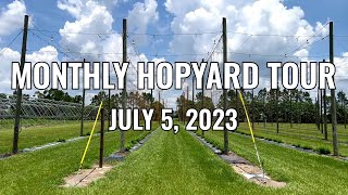 Monthly Hopyard Tour (2023-07-05) | Univ of Florida Hops Research