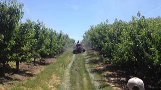 LectroBlast 1540 in Orchard