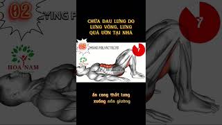 Chữa đau lưng do lưng võng, lưng quá ưỡn tại nhà.#daulung #lungvong#thoaihoacotsong #hoanam