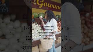 la cebolla mas que un ingrediente