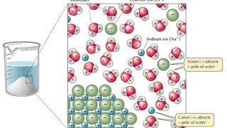 The solubility of ionic compounds