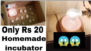 How to make an incubator at home👍🤫|| घर पर ही खुद का इनक्यूबेटर कैसे बनाए 😱😱||  by @RKpigeonplanet