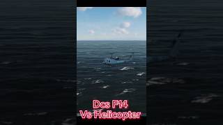 DCS F14 vs ??? #trending #airshow #military #p51mustang #shorts #short #shortvideo #shortsvideo