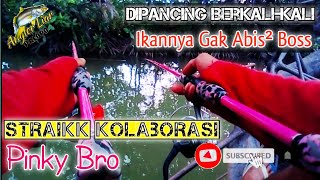 Spot Akar Bakau//Ikannya Gak habis-Habis