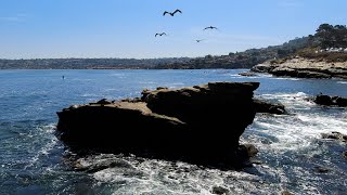 La Jolla Sea Rock (San Diego) - Relaxation