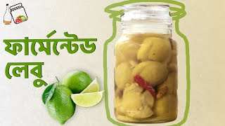 ল্যাক্টো ফার্মেন্টেড লেবু || Lacto Fermented Lemons || Preserved Lemons