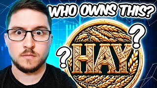 Does HayCoin Have 100x Potential from its current value?