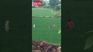 मेरा गाँव केसा लगा आप सभी देशवासियों को#video ko subscribe karna na Bhule