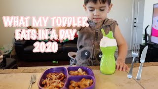 WHAT MY TODDLER EATS IN A DAY 2020 | *REALISTIC & RAW* | Jenn Torres