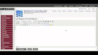 Blogs in Blackboard 9.1 Training