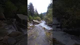 Creek exploration with the #dji Avata