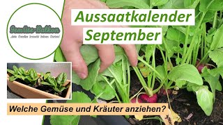 Aussaatkalender 🗓️ September - Welches Gemüse und Kräuter kann man im September anziehen 🌱