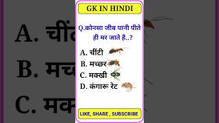 GK Questions || GK In Hindi || GK Questions and Answers || GK Quiz || #shortvideo