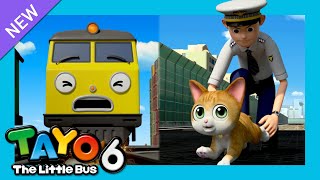 Tayo S6 EP14 Please Take Care of the Cat l Meow! Catch me if you can! l Tayo the Little Bus