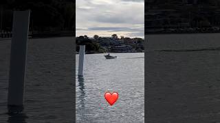 View ❤️. #Shorts #trending #australia #sydney #viral #foryou #sad #love #yt #subscribe