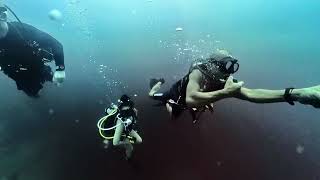 Diving Barracuda Lake, Coron, Philippines, 2023 (yes, there are Barracuda)