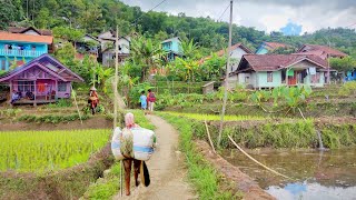 Kampung Cipetir Yang Tak Kenal Dengan Bank Emok.Dijamin Betah😍😍.Pedesaan Asli Tasikmalaya Jawabarat