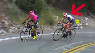 POGACAR e HIGUITA se dieron leña en la etapa reina del Tour de California