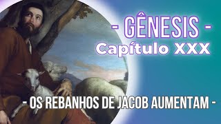 A Bíblia Sagrada - Gênesis XXX | 30