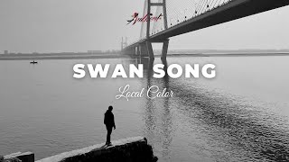 Local Color - Swan Song [ambient piano relaxing]