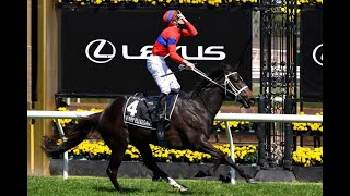 Flemington Racing Preview (G1) Lexus Melbourne Cup Day ! (01/11/22) | Sky High Horse Racing