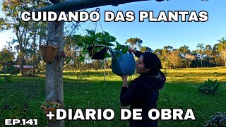 CUIDANDO DAS PLANTAS DO JARDIM+ DIARIO DA OBRA DO GALPÃO.EP141 #vidasimples #sitio