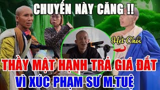 Rùng Mình Điềm Tâm Linh Thầy MẬT HẠNH chửi SƯ MINH TUỆ, Quả Báo Kinh Hoàng Khi Đập Phá Tượng Phật