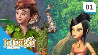 Peter Pan - neue Abenteuer: Staffel 1, Folge 1 "Hausputz" GANZE FOLGE