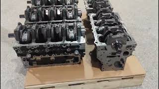 4JJ1 diesel engine short block