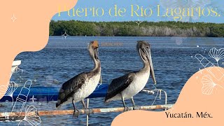 Puerto de Río Lagartos. Yucatán.