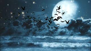 Amazing Night Sky With Moon Clouds Sta And Flapping Bird | Stock Video Background