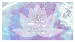 SB2 - STRESS BREAKING BREATHING - RESPIRATION ANTI STRESS EXPRESS - VIOLET