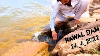 Today We Caught Very Beautiful Fish In || Rawal Dam || 24-4-2022 || @mateenakhtar9089